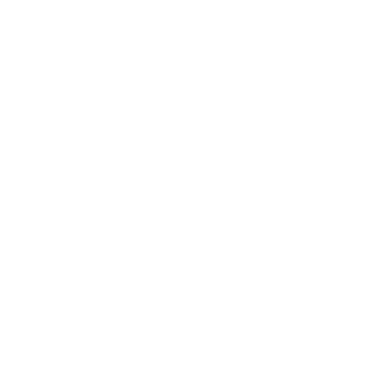 The Skills